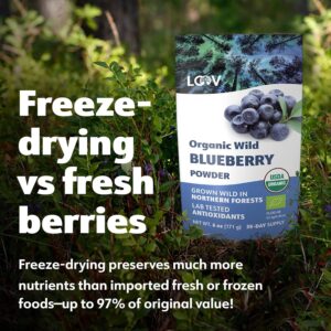 LOOV Organic Wild Blueberry Powder - 29-Day Supply, 6 Oz, Good for Smoothie & Breakfast, Freeze-Dried, from Northern Europe, No Added Sugar